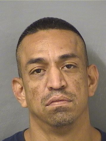  MICHAEL CASAREZ Results from Palm Beach County Florida for  MICHAEL CASAREZ