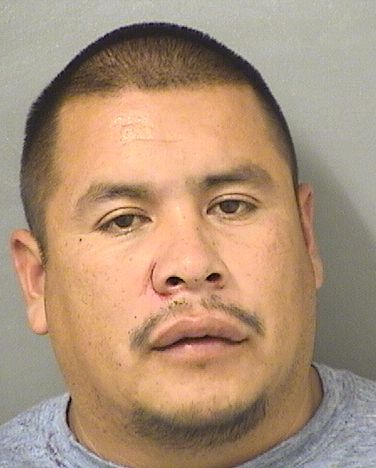  IGNACIO FLORIES Resultados de la busqueda para Palm Beach County Florida para  IGNACIO FLORIES