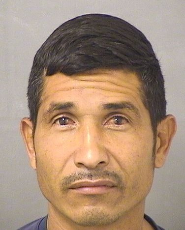  JOSEPH GONZALEZ Results from Palm Beach County Florida for  JOSEPH GONZALEZ