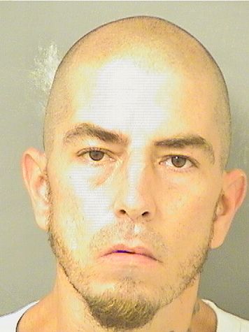  JAMES ROBERT CARLSON Results from Palm Beach County Florida for  JAMES ROBERT CARLSON