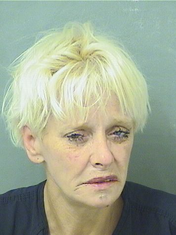  LISA SANTORODAVIS Results from Palm Beach County Florida for  LISA SANTORODAVIS