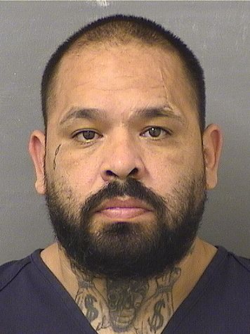  LUIS SIERRA Results from Palm Beach County Florida for  LUIS SIERRA