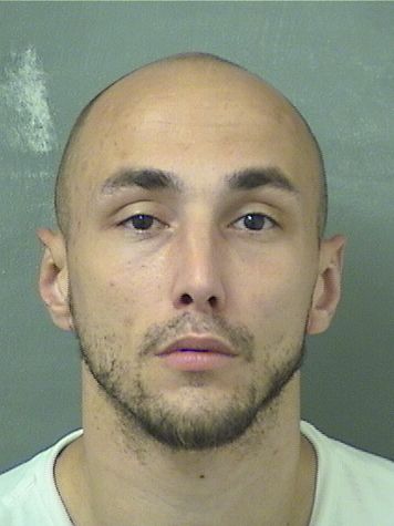 JOHN MICHAEL WILLIAMS Results from Palm Beach County Florida for JOHN MICHAEL WILLIAMS JOHN MICHAEL WILLIAMS Results from Palm Beach County Florida for JOHN MICHAEL WILLIAMS