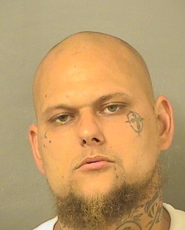 BRANDON PAUL HARRIS Photos For  BRANDON PAUL HARRIS  BRANDON PAUL HARRIS Photo For  BRANDON PAUL HARRIS