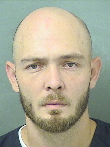  TAYLOR MICHAEL WILSON Results from Palm Beach County Florida for  TAYLOR MICHAEL WILSON