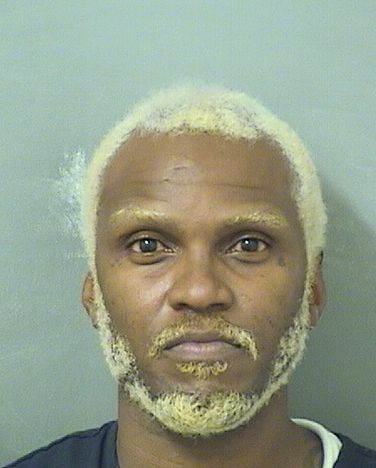  MICHAEL GREG Jr JOHNSON Results from Palm Beach County Florida for  MICHAEL GREG Jr JOHNSON