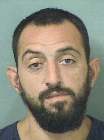  ANTHONY J Jr SANTUCCI Results from Palm Beach County Florida for  ANTHONY J Jr SANTUCCI