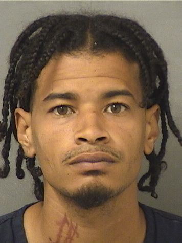  MALEEK EMILIO CASTILLO Results from Palm Beach County Florida for  MALEEK EMILIO CASTILLO