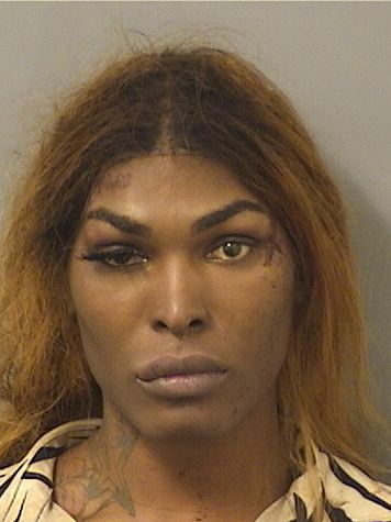  WILLIAM MCCOY III Resultados de la busqueda para Palm Beach County Florida para  WILLIAM MCCOY III