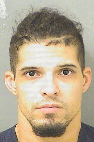  GABRIEL INOCENCIO SARZUELA Results from Palm Beach County Florida for  GABRIEL INOCENCIO SARZUELA