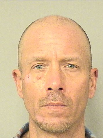  DAMIAN D ORLANDO Results from Palm Beach County Florida for  DAMIAN D ORLANDO