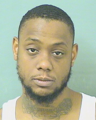  MICHAEL JEANPOIX Results from Palm Beach County Florida for  MICHAEL JEANPOIX