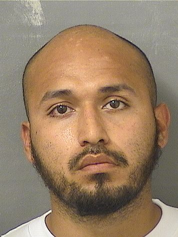 JOSE NAVARRETE Results from Palm Beach County Florida for JOSE NAVARRETE JOSE NAVARRETE Results from Palm Beach County Florida for JOSE NAVARRETE