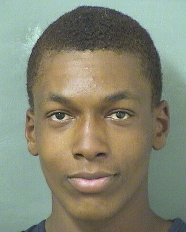  DALVIN LEVON GAMBLE Results from Palm Beach County Florida for  DALVIN LEVON GAMBLE