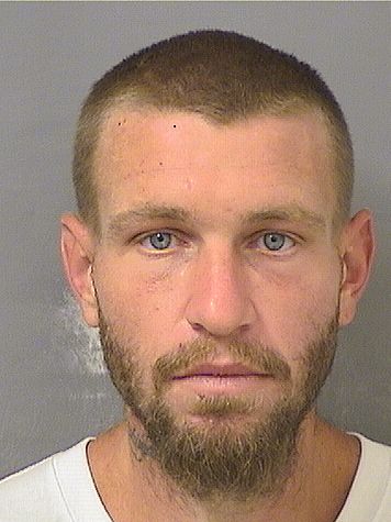  DANNY ALAN Jr HOGGARD Results from Palm Beach County Florida for  DANNY ALAN Jr HOGGARD