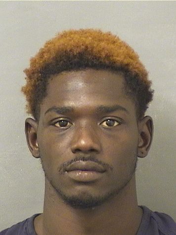  ANTHONY TERRENCE 3 DENSON Results from Palm Beach County Florida for  ANTHONY TERRENCE 3 DENSON