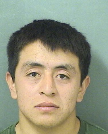  DANIEL CAMPOSARCE Results from Palm Beach County Florida for  DANIEL CAMPOSARCE