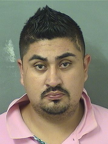  BULMARO ARRIAGALOPEZ Resultados de la busqueda para Palm Beach County Florida para  BULMARO ARRIAGALOPEZ