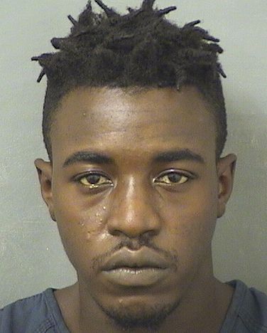  JIMMIE LEE Jr SIMS Results from Palm Beach County Florida for  JIMMIE LEE Jr SIMS