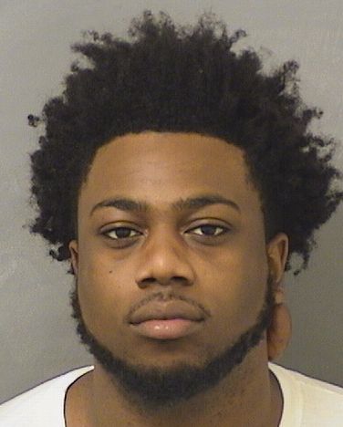  DARRELLE LEVONTA PARSON Results from Palm Beach County Florida for  DARRELLE LEVONTA PARSON