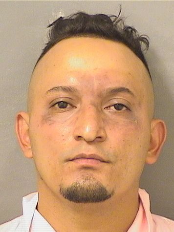  MANUEL REYESALVAREZ Results from Palm Beach County Florida for  MANUEL REYESALVAREZ