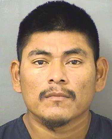  MARTIN PEREZGONZALEZ Results from Palm Beach County Florida for  MARTIN PEREZGONZALEZ