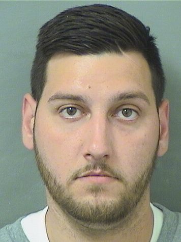  DAVID ANDREW VINCENT Results from Palm Beach County Florida for  DAVID ANDREW VINCENT