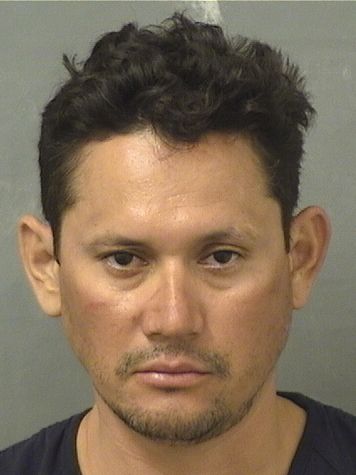 ALCIBIADES ALFONSO DELGADO Results from Palm Beach County Florida for ALCIBIADES ALFONSO DELGADO ALCIBIADES ALFONSO DELGADO Results from Palm Beach County Florida for ALCIBIADES ALFONSO DELGADO