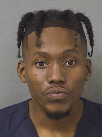  MARK ARSENE SAJOUS Results from Palm Beach County Florida for  MARK ARSENE SAJOUS