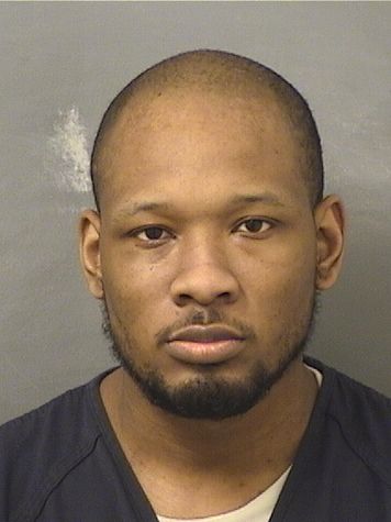  DAVID L MITCHELL Resultados de la busqueda para Palm Beach County Florida para  DAVID L MITCHELL