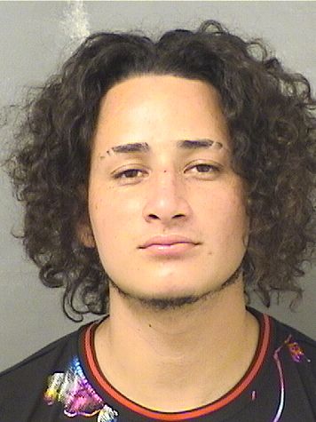  EDWIN ALEXANDER CANALESMENA Results from Palm Beach County Florida for  EDWIN ALEXANDER CANALESMENA