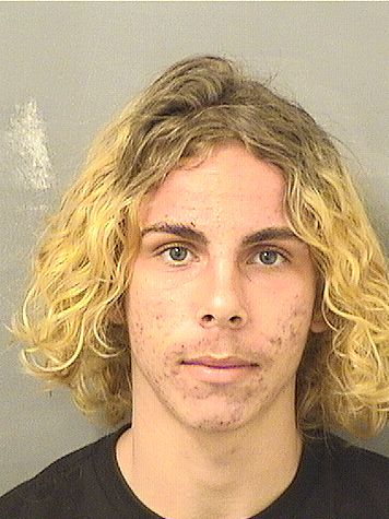  SKYLER JAMES II MCDONALD Results from Palm Beach County Florida for  SKYLER JAMES II MCDONALD