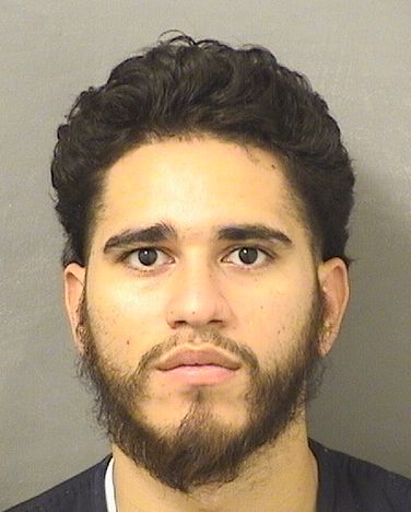  JOSHUA R MALENA Results from Palm Beach County Florida for  JOSHUA R MALENA