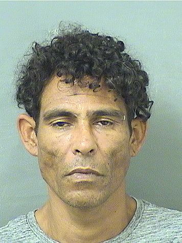  MARCOS ANTONIO IBANEZREYES Results from Palm Beach County Florida for  MARCOS ANTONIO IBANEZREYES