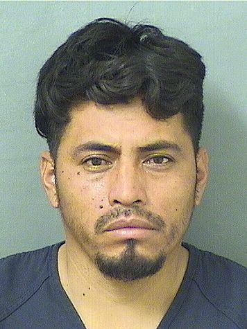  DAVID ROLDANLUCAS Resultados de la busqueda para Palm Beach County Florida para  DAVID ROLDANLUCAS