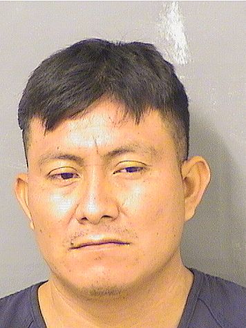  FRANCISCO MIGUEL Results from Palm Beach County Florida for  FRANCISCO MIGUEL