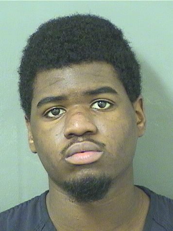  STEVEN ARMAND Photo For  STEVEN ARMAND