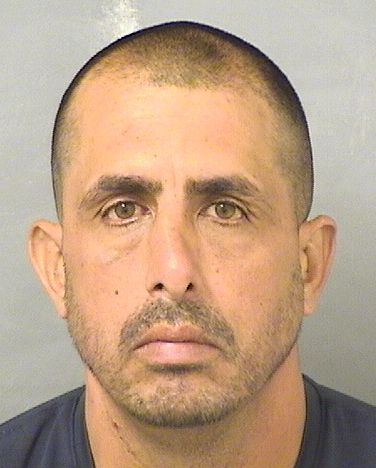  CARLOS M VASQUEZ Results from Palm Beach County Florida for  CARLOS M VASQUEZ