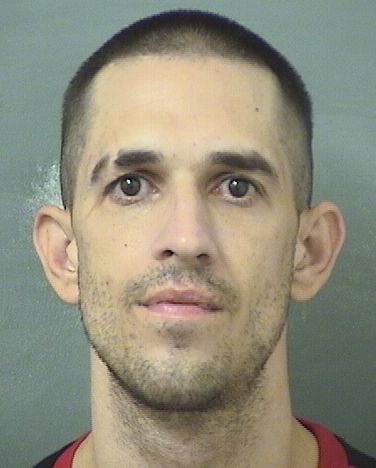  BRANDON T ROSS Results from Palm Beach County Florida for  BRANDON T ROSS