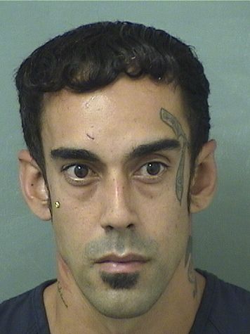  CHRISTOPHER CABRERASANABRIA Results from Palm Beach County Florida for  CHRISTOPHER CABRERASANABRIA