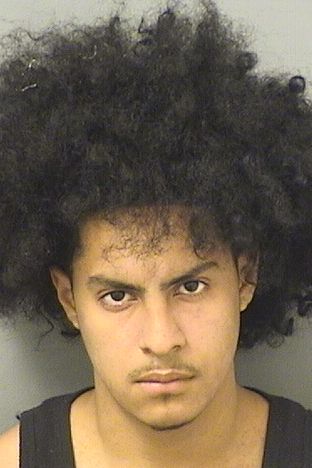  KEVIN TORRESMARADIAG Results from Palm Beach County Florida for  KEVIN TORRESMARADIAG