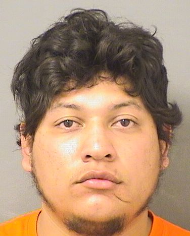  JORGE E FRIASGARCIA Results from Palm Beach County Florida for  JORGE E FRIASGARCIA