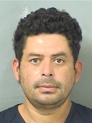  MARVIN ALEXIS FIGUEROAHERNANDEZ Results from Palm Beach County Florida for  MARVIN ALEXIS FIGUEROAHERNANDEZ