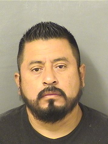  FELIPE ROBERTOANTONIO ROJASAGUILAR Results from Palm Beach County Florida for  FELIPE ROBERTOANTONIO ROJASAGUILAR