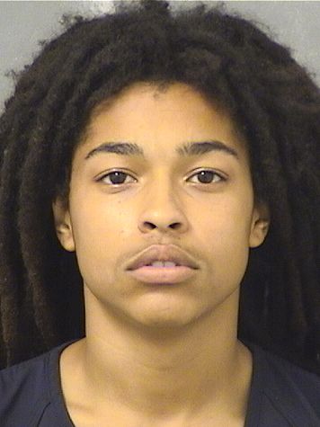  DONOVON O JOINVIL Results from Palm Beach County Florida for  DONOVON O JOINVIL