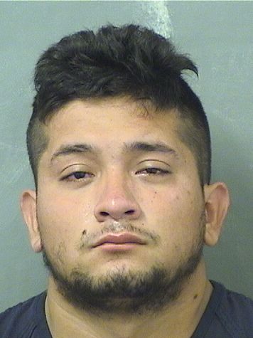  MARVIN YOVANILOPEZ Results from Palm Beach County Florida for  MARVIN YOVANILOPEZ