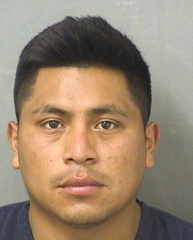 JUAN MORALES Results from Palm Beach County Florida for  JUAN MORALES  JUAN MORALES Results from Palm Beach County Florida for  JUAN MORALES