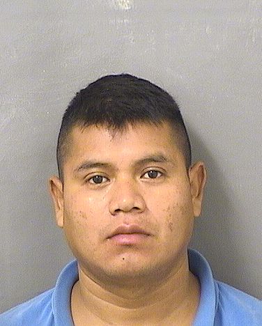 GERMAN PEREZSONTAY Results from Palm Beach County Florida for  GERMAN PEREZSONTAY  GERMAN PEREZSONTAY Results from Palm Beach County Florida for  GERMAN PEREZSONTAY