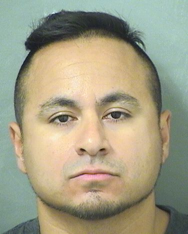  ALEXANDER JOSEPH TORELLI Photo For  ALEXANDER JOSEPH TORELLI