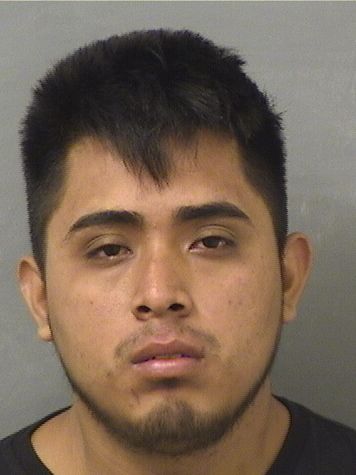  PABLO I ESTEBAN Results from Palm Beach County Florida for  PABLO I ESTEBAN